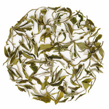 Load image into Gallery viewer, Blue Mountain Nilgiris White Tea - Danta Herbs, White Tea - tea

